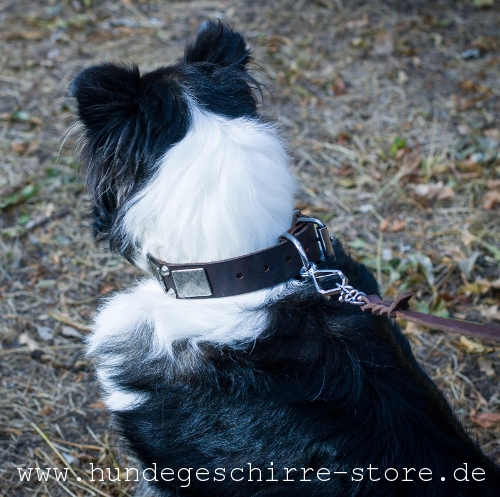 Hundehalsband aus Leder, dauerhafte Metallteile