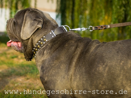 Leder Hundehalsband, praktisch