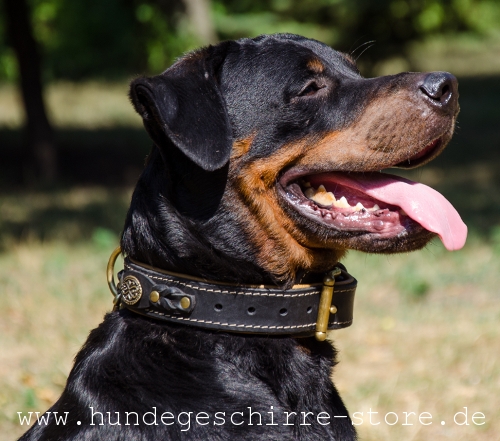 Halsband aus Leder, bequem