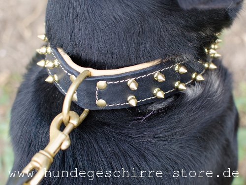 Leder Hundehalsband, dauerhaft