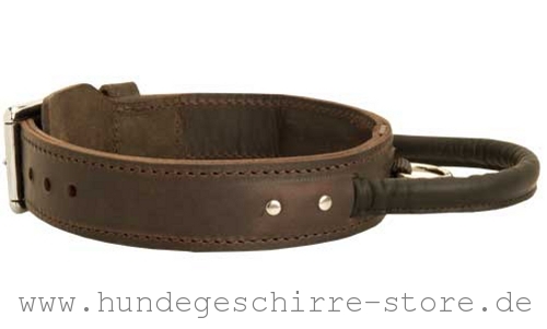 Hundehalsband Leder mit Handschlaufe 