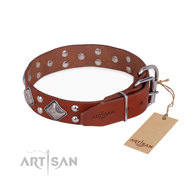 wunderschönes Leder Hundehalsband, abriebfest