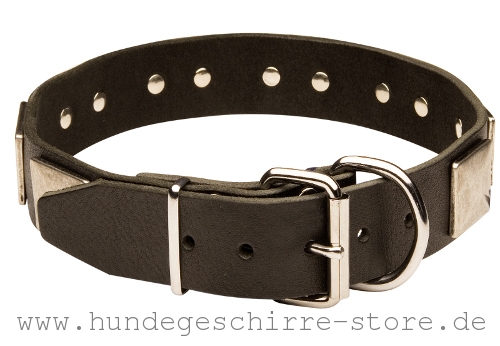 Leder Hundehalsband, prächtig