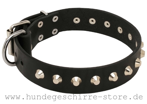 Leder Hundehalsband, breit