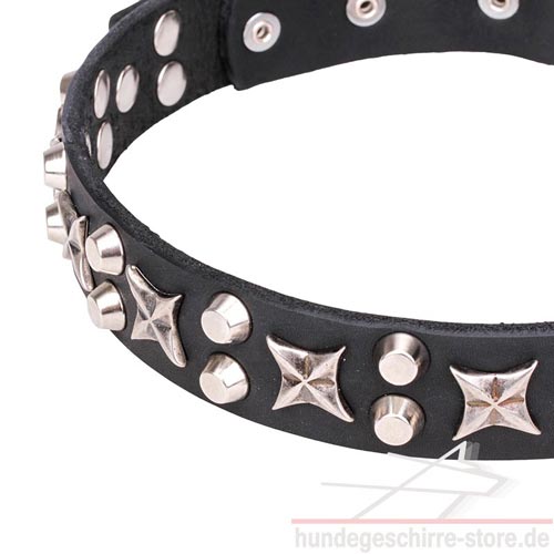 narrow dog collar Stars and cones luxury pet shop