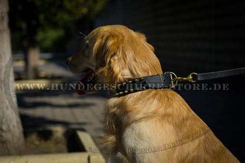 dauerhaftes Hundehalsband aus Leder