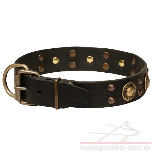  Hundehalsband Leder, praktisch