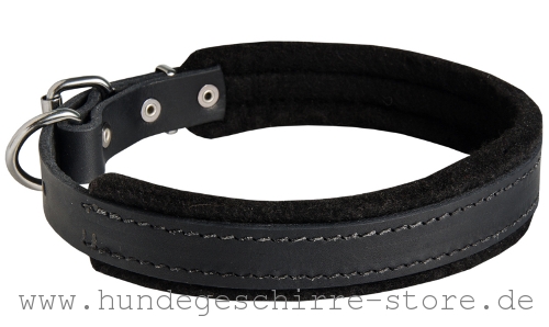 Leder Hundehalsband, strapazierfähig