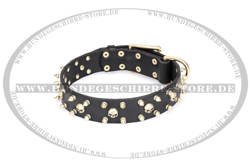 solides Leder Hundehalsband