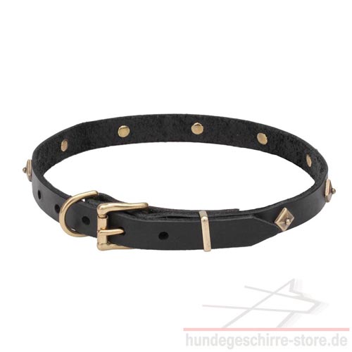 nietenhalsband hund Messing Rhomben hundeshop