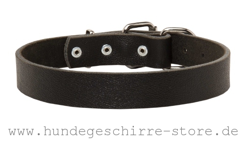 Hundehalsband Leder, praktisch und dauerhaft