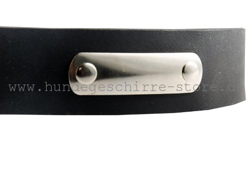 Leder Hundehalsband, robust