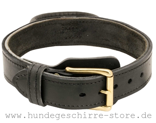 Hundehalsband Leder, strapazierfähig