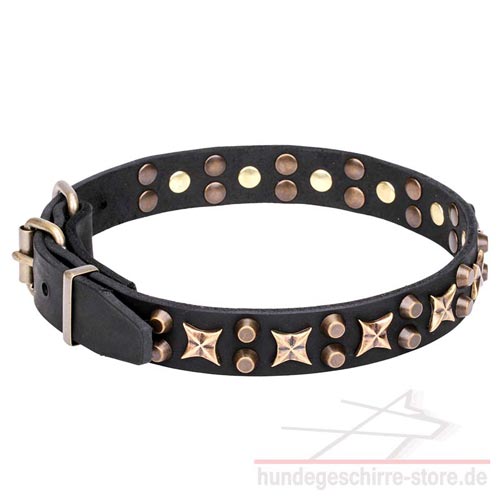  Halsband aus Leder kaufen online