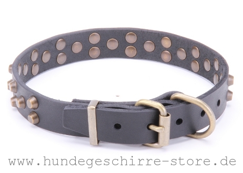  Hundehalsband Leder, hochwertig