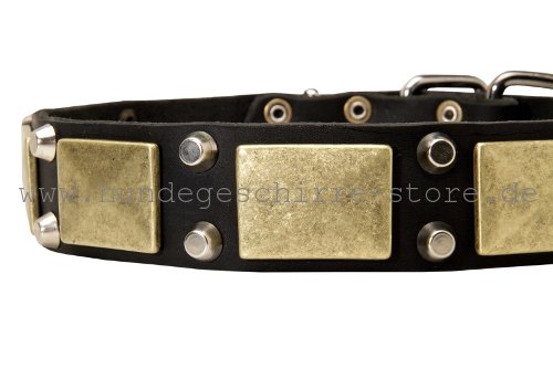 Leder Halsband, stilvoll