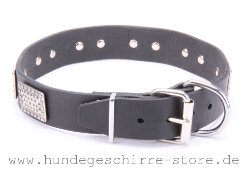 Leder Hundehalsband, professionelle Bearbeitung