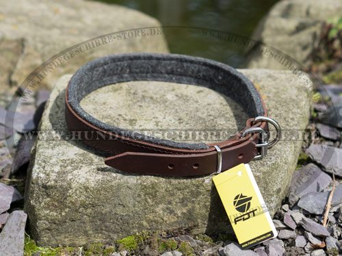 Leder Hundehalsband, abriebfest