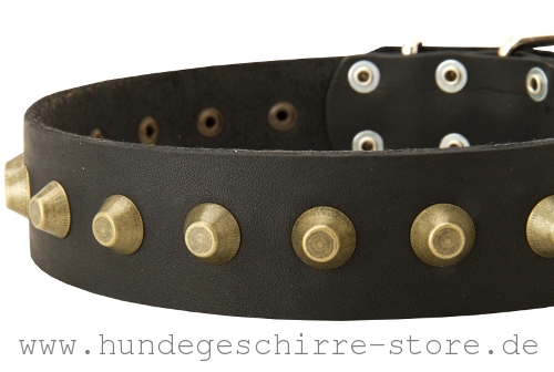 Leder Hundehalsband, sicher