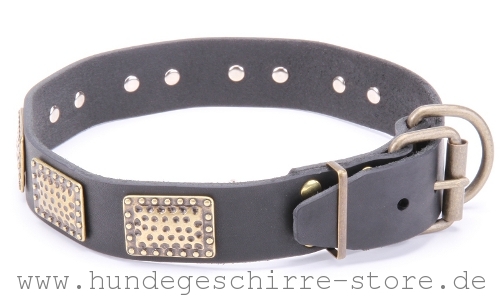 Leder Hundehalsband, außerordentliche Eleganz