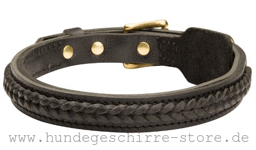 Leder Hundehalsband, vernietet