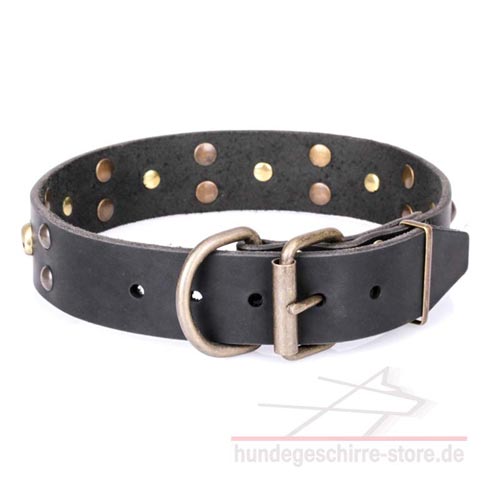 Leder Hundehalsband, spitzenqualität