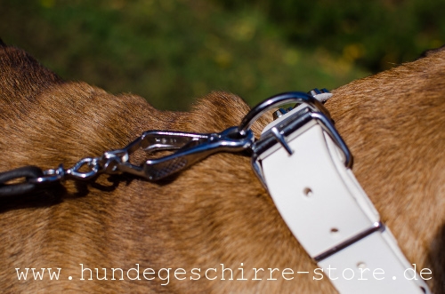 Leder Hundehalsband, qualitativ