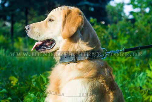 spitzenqualitatives Hundehalsband aus Leder