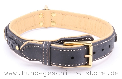 Leder Hundehalsband, praktisch 