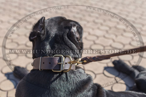 wertvolles Leder Hundehalsband