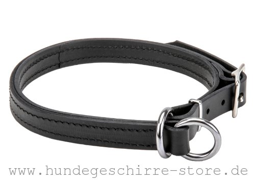 Leder Halsband, robust und dauerhaft