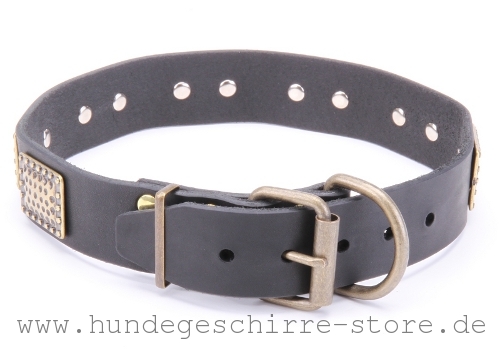 strapazierfähiges Hundehalsband aus Leder