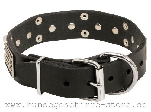 Leder Hundehalsband, abriebfest