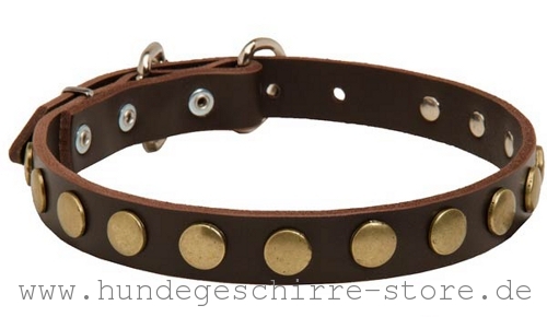  Hundehalsband aus Leder, originell