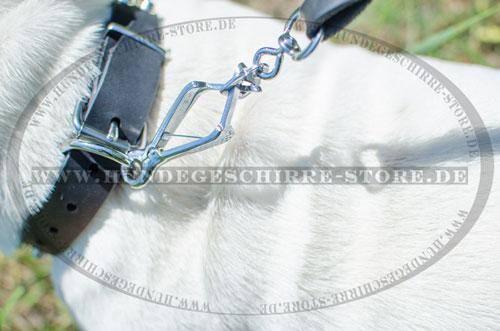  Hundehalsband aus Leder, sicher