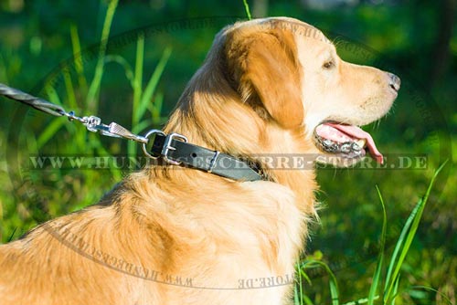 Dog collar made of robust leather 