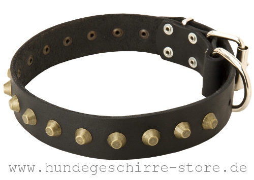 Leder Hundehalsband, praktisch