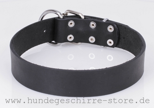  Leder Hundehalsband, sicher und stark