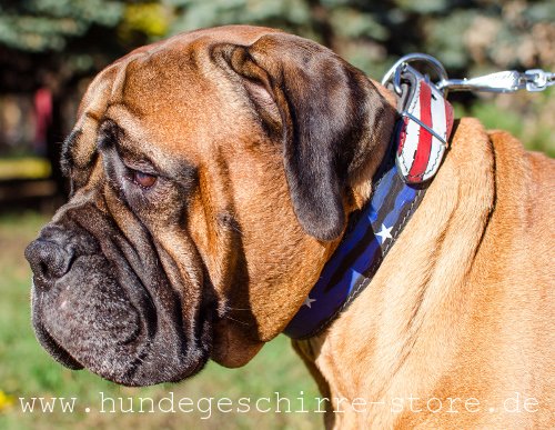 Leder Hundehalsband, umweltsicher