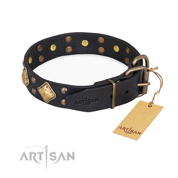 Hundehalsband Leder mit starkem Beschlag