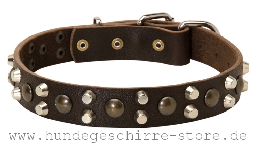 hochwertiges  Leder Hundehalsband