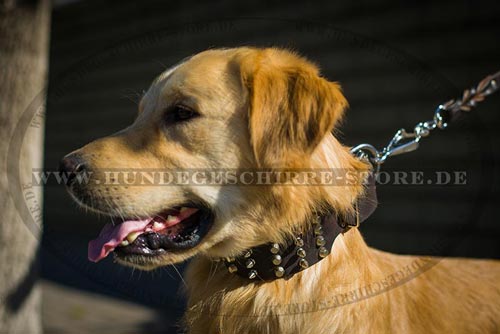 Leder Hundehalsband mit abgerundeten Kanten