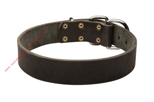 Klassisches Leder Halsband fuer grosse Hunde