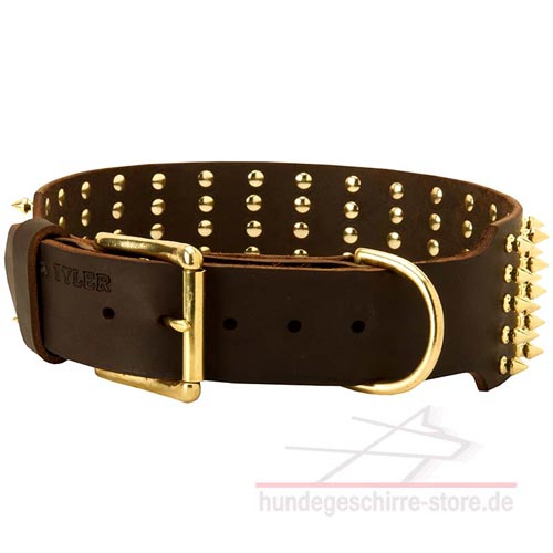 Leder Hundehalsband, dauerhaft