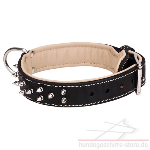 Dog leather collars spikes stuttgart