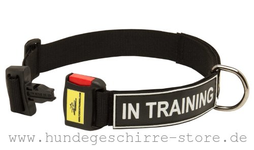  Nylon Hundehalsband, praktisch