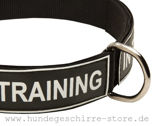  Nylon Hundehalsband mit abnehmbaren Aufschriften