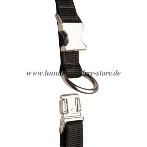 Nylon collar with quick-release buckle