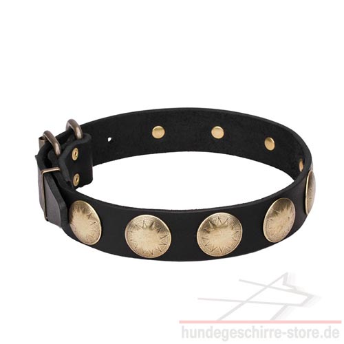 collar sun embossing luxury pet shop