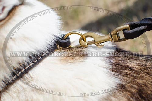 Hundehalsband Laika, Hundetraining